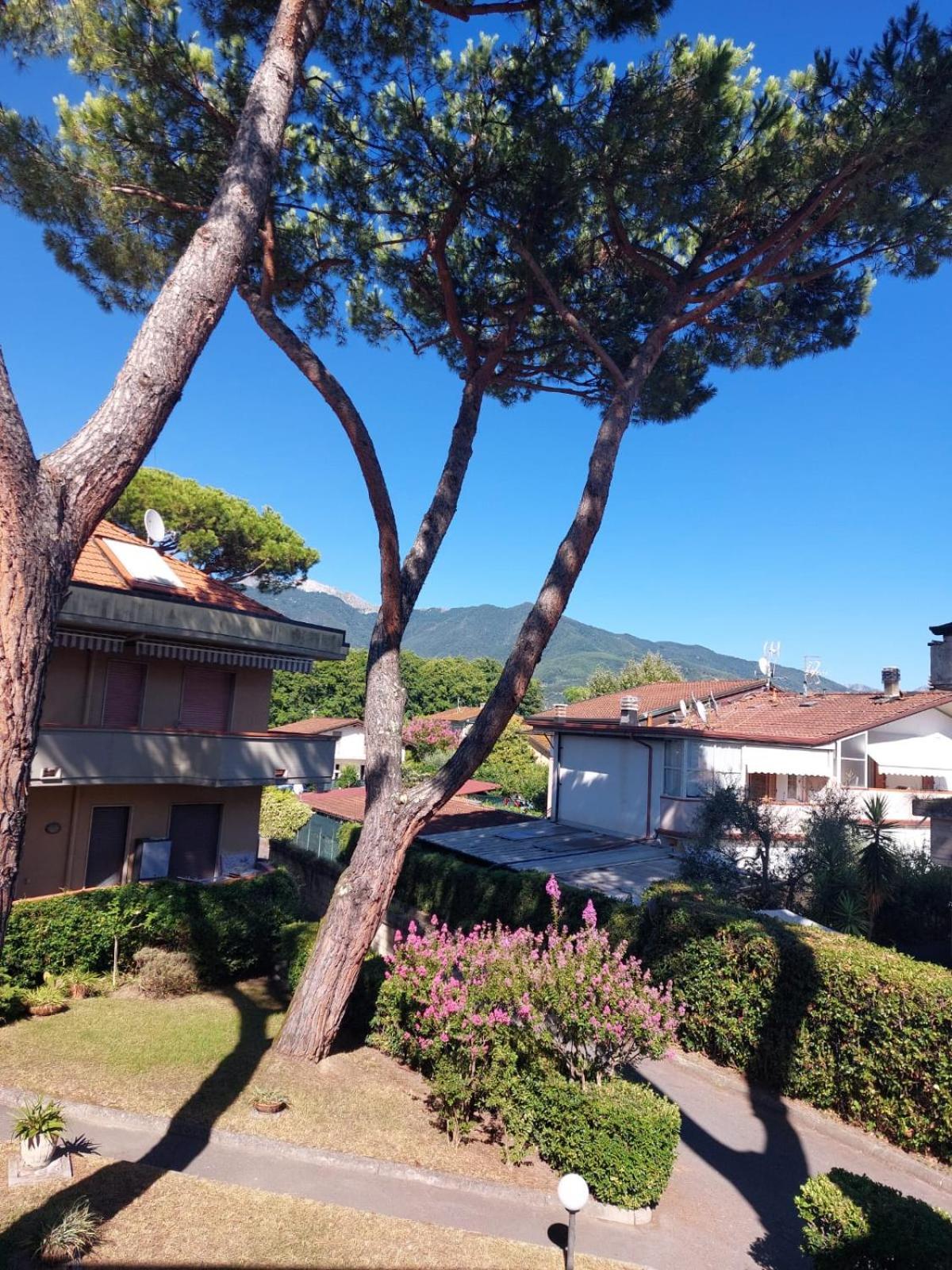 Appartamento Al Mare Di Liguria E Toscana Marina di Massa Exterior foto